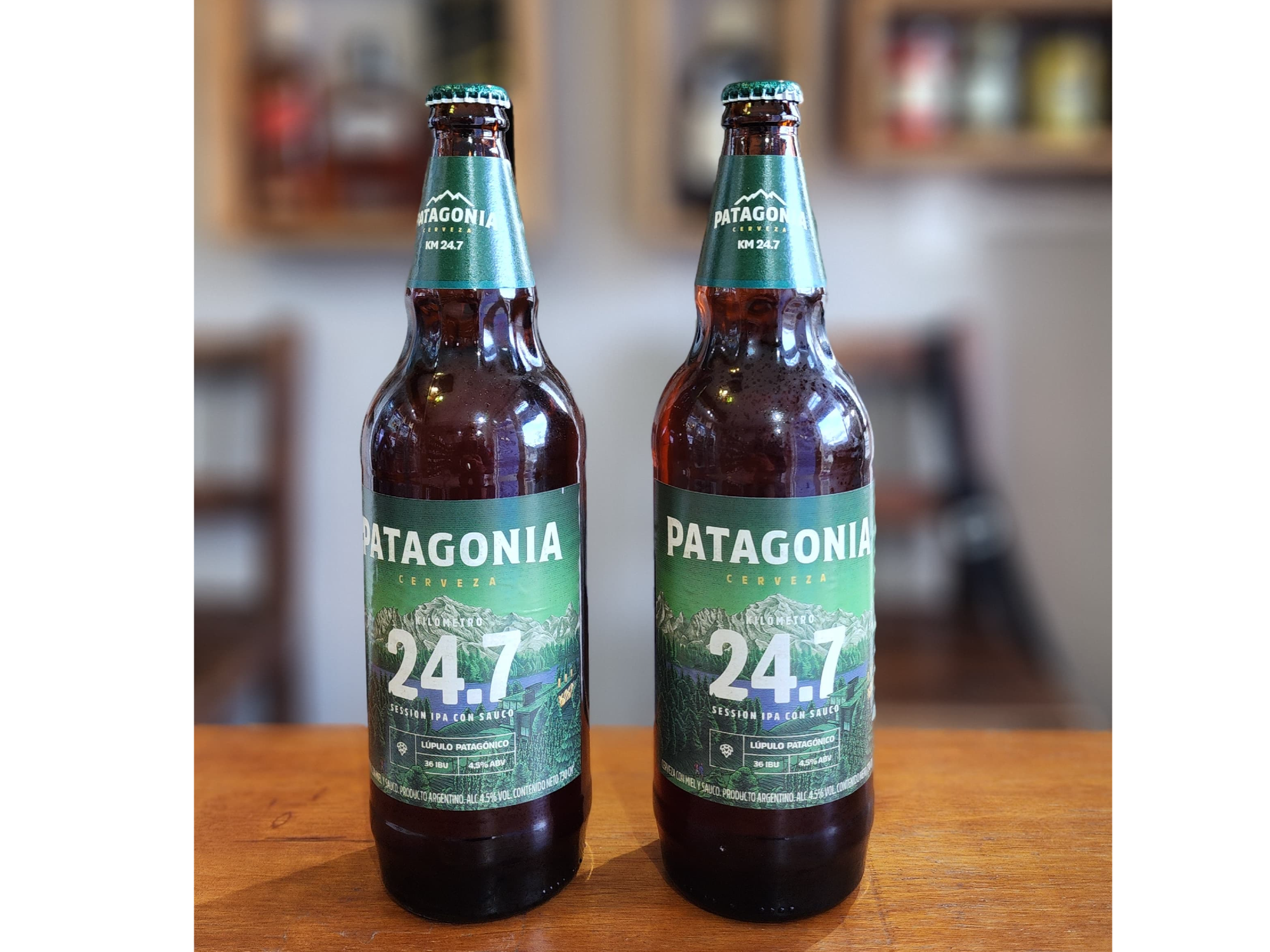2 Patagonia 24.7 730ml