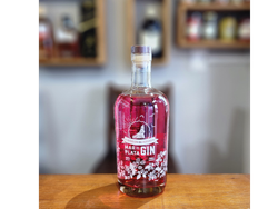 Mar del Plata GIN Infusion de Verano 750ml