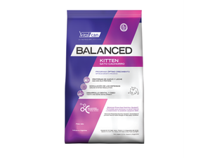 Vital can balanced kitten de Don balanceado