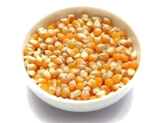 Maiz pisingallo
