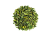 Moringa