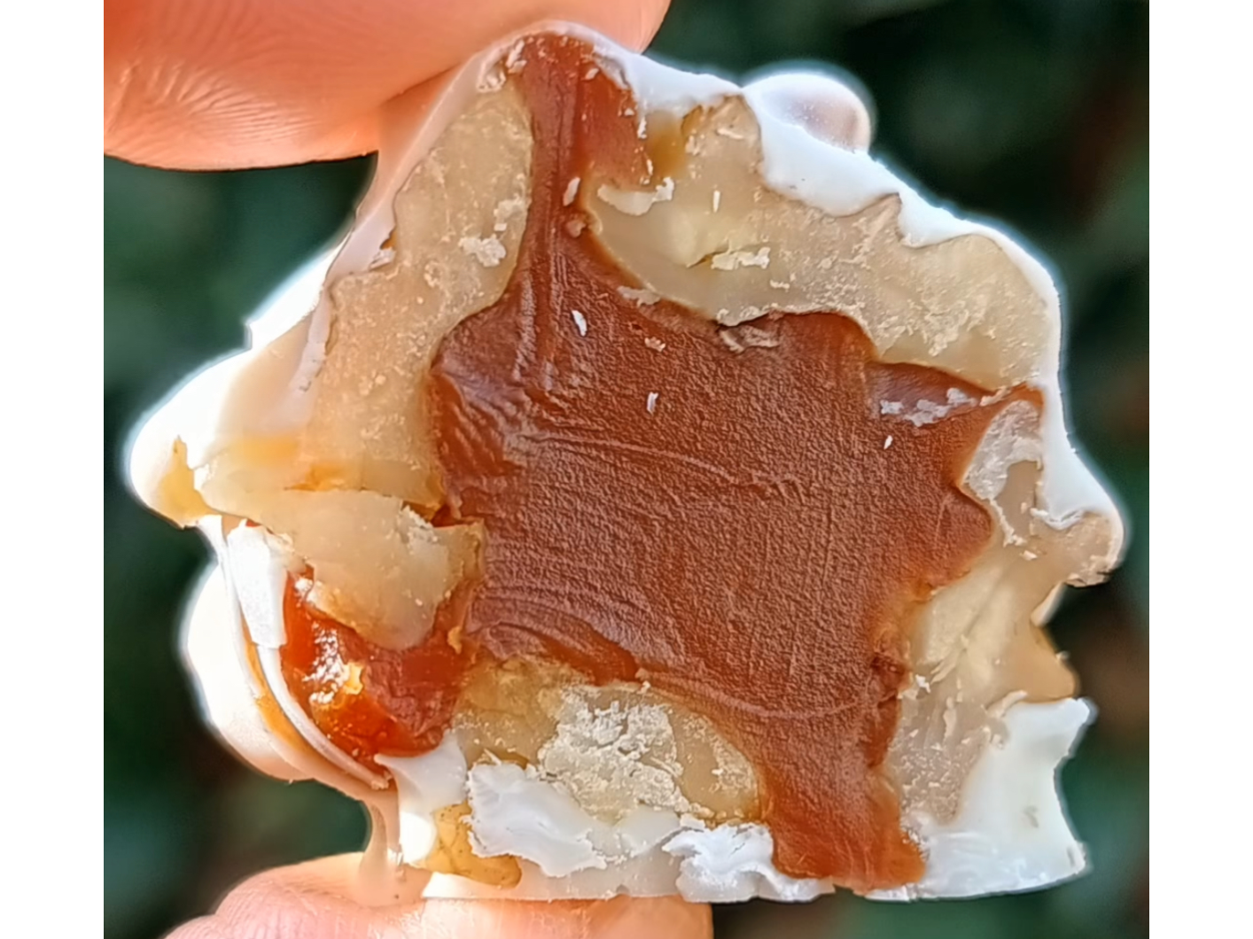 Bombón de nuez y ddl