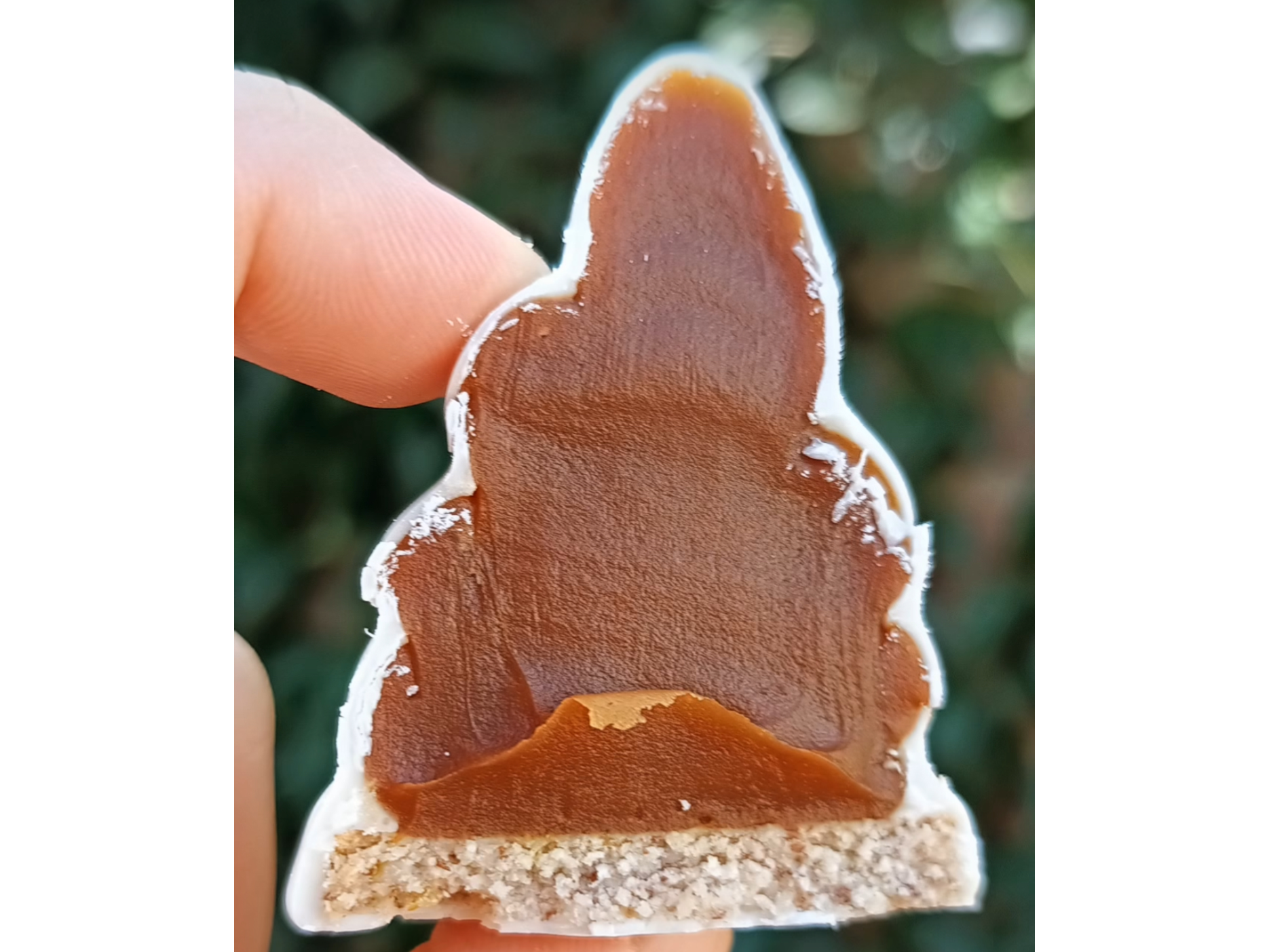 Conito de ddl blanco