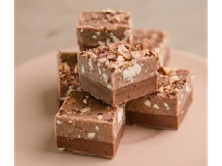 Marroc de avellanas x6u