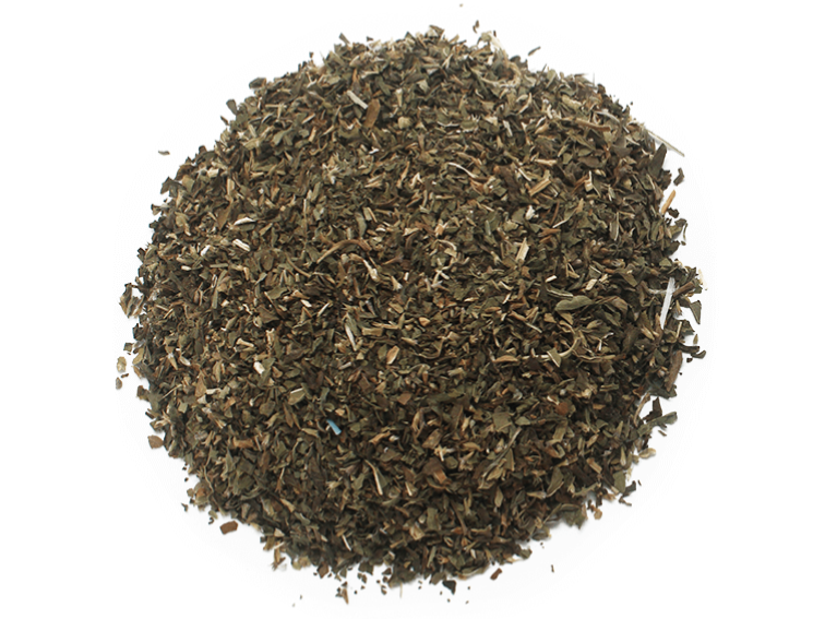 Menta