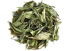 Stevia