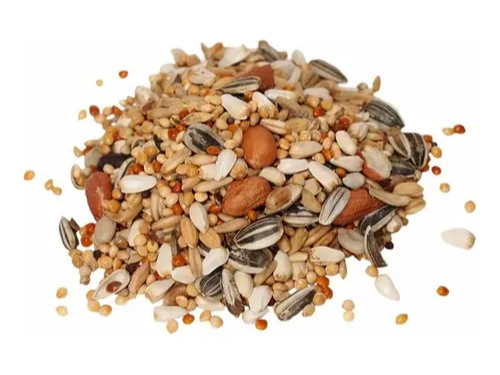 Mix Loros y Guacamayos