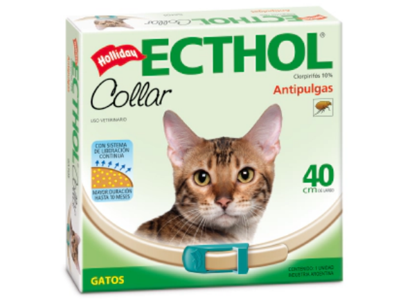 Collar Gato ECTHOL