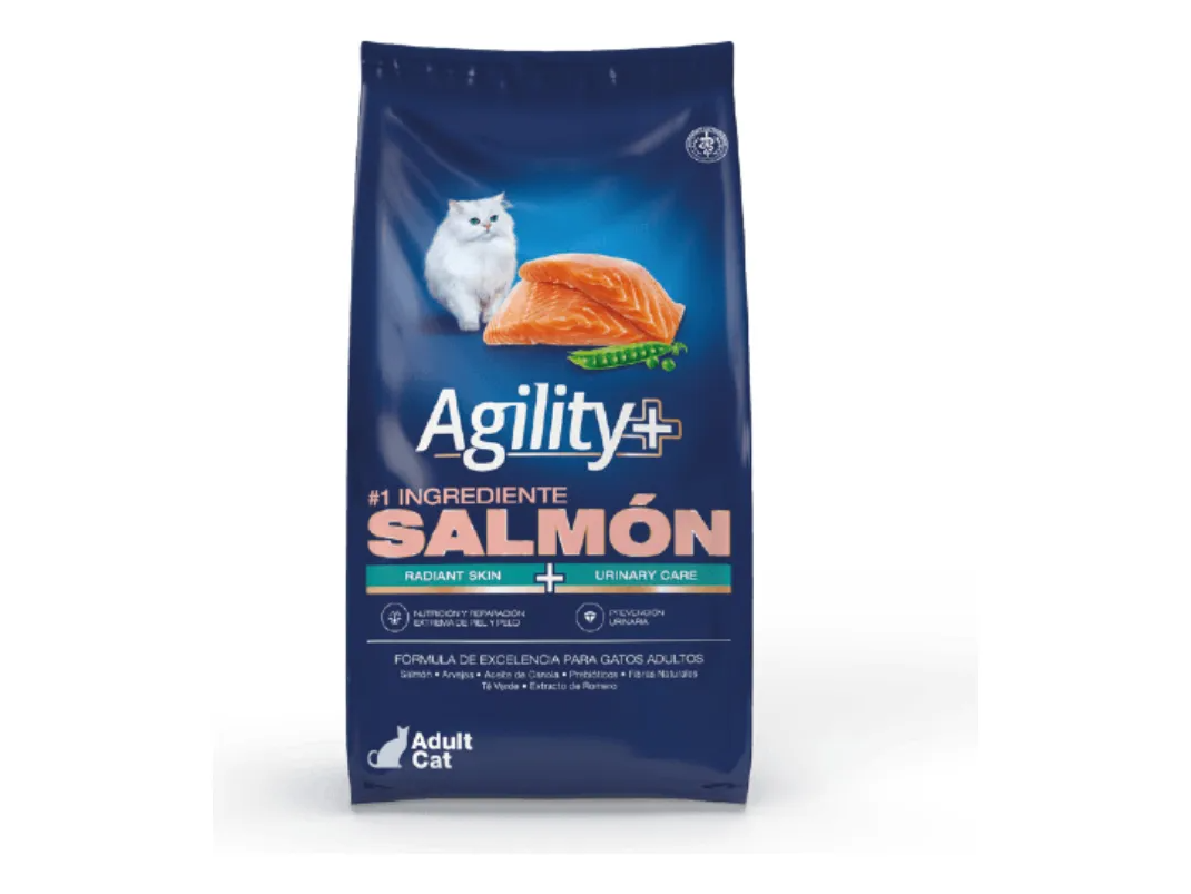 Agility Salmon