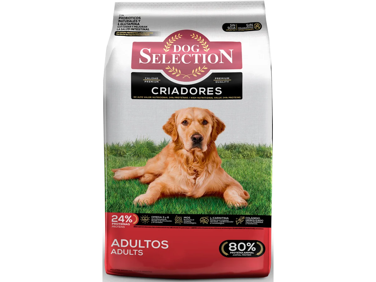 Dog Selection Criadores - Adulto