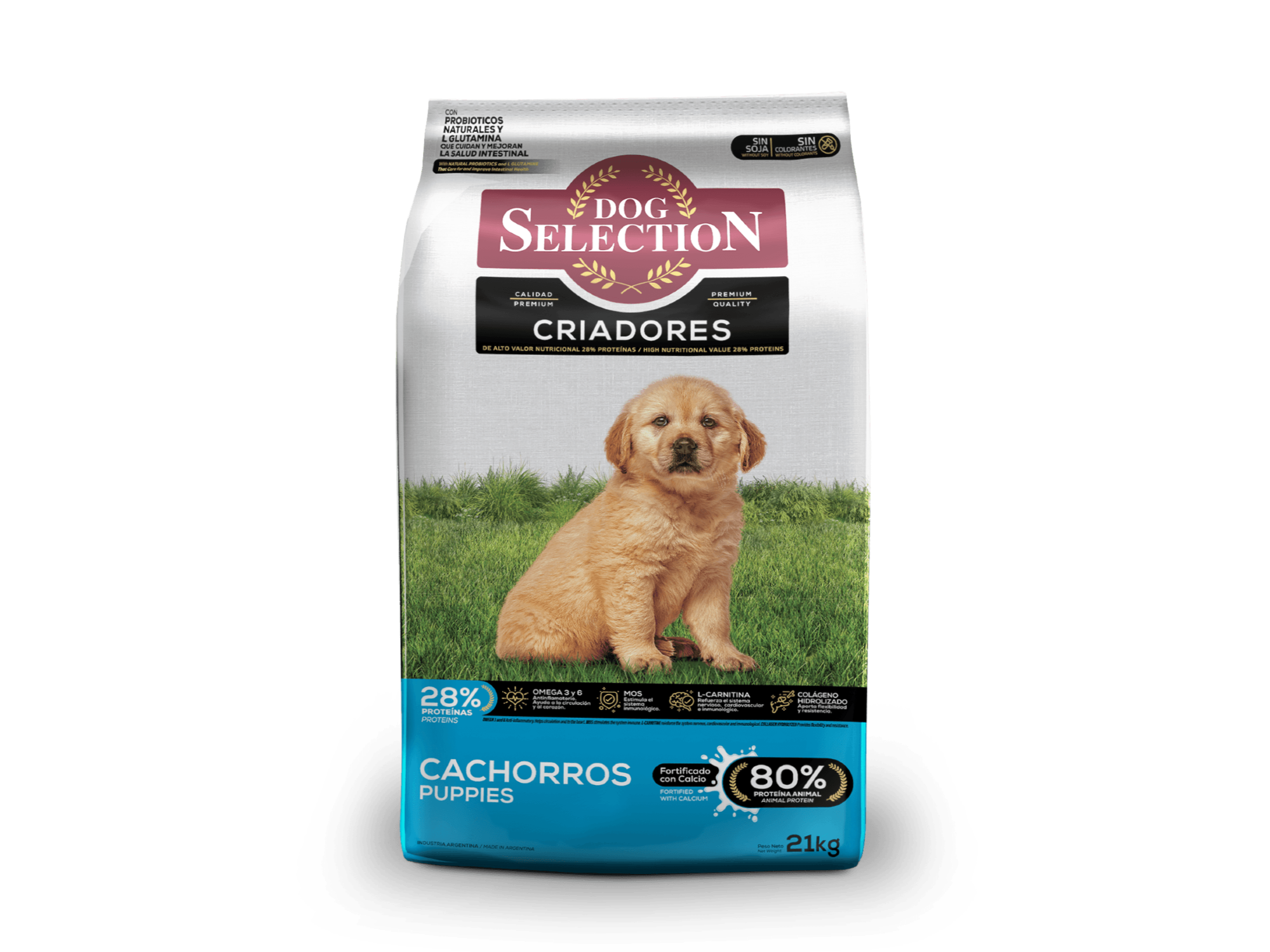 Dog Selection Criadores Cachorros