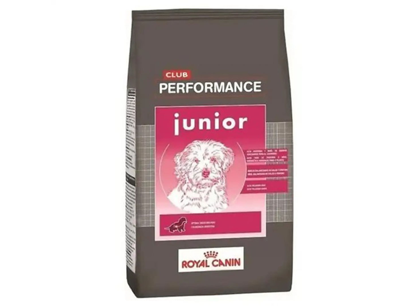 Club PERFORMANCE Royal Canin Junior