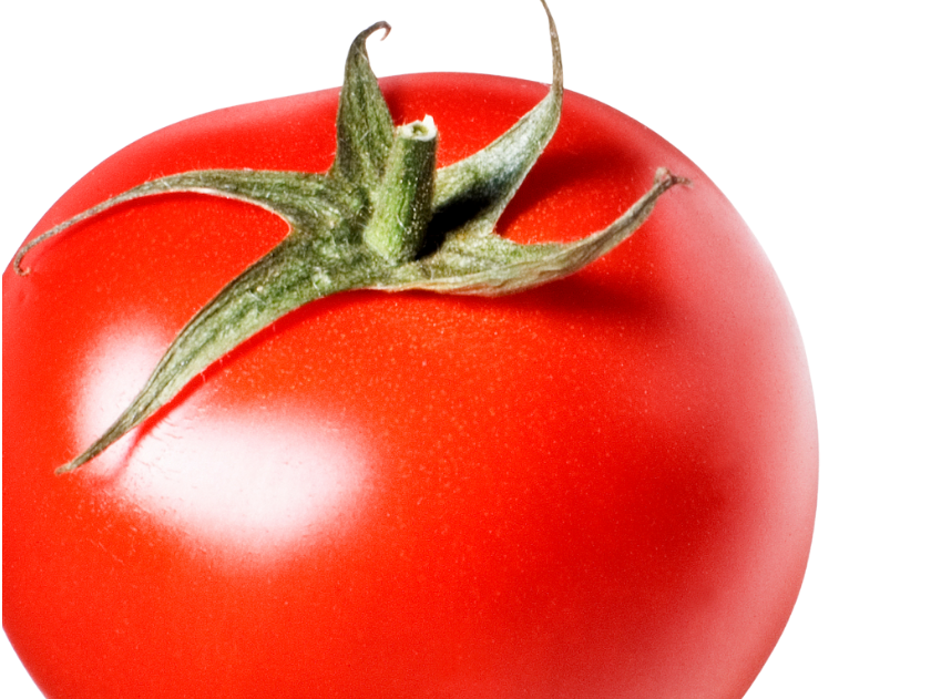 Tomate Redondo