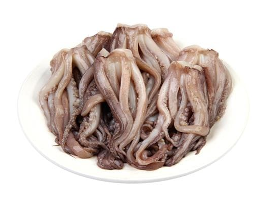 TENTACULO DE CALAMAR