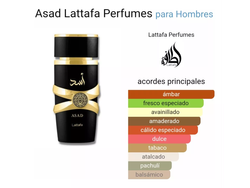 LATTAFA ASAD