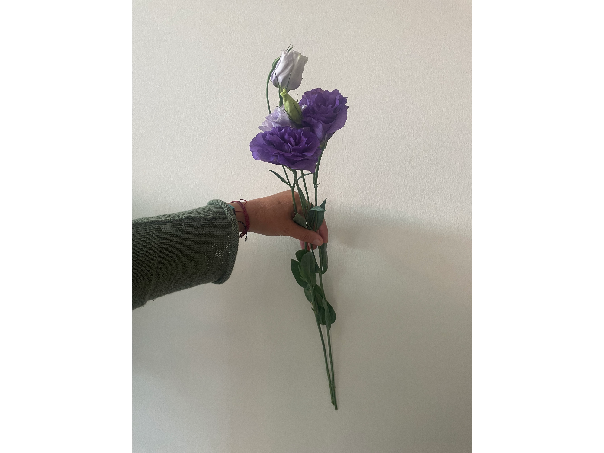 Lisianthus azul