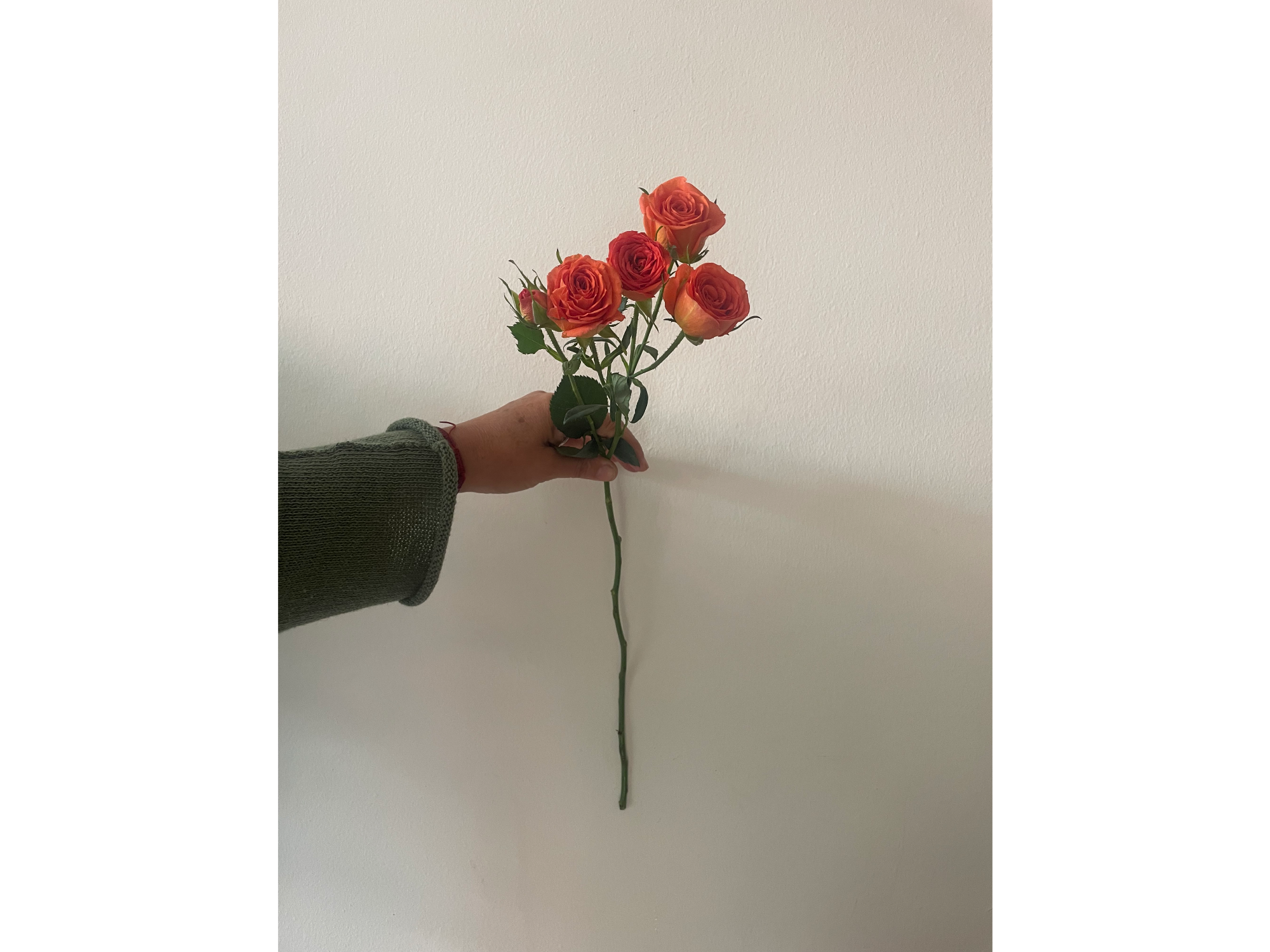 Mini rosa naranja
