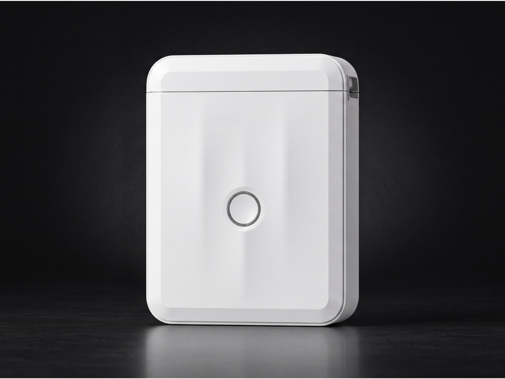 Impresora Niimbot D110M