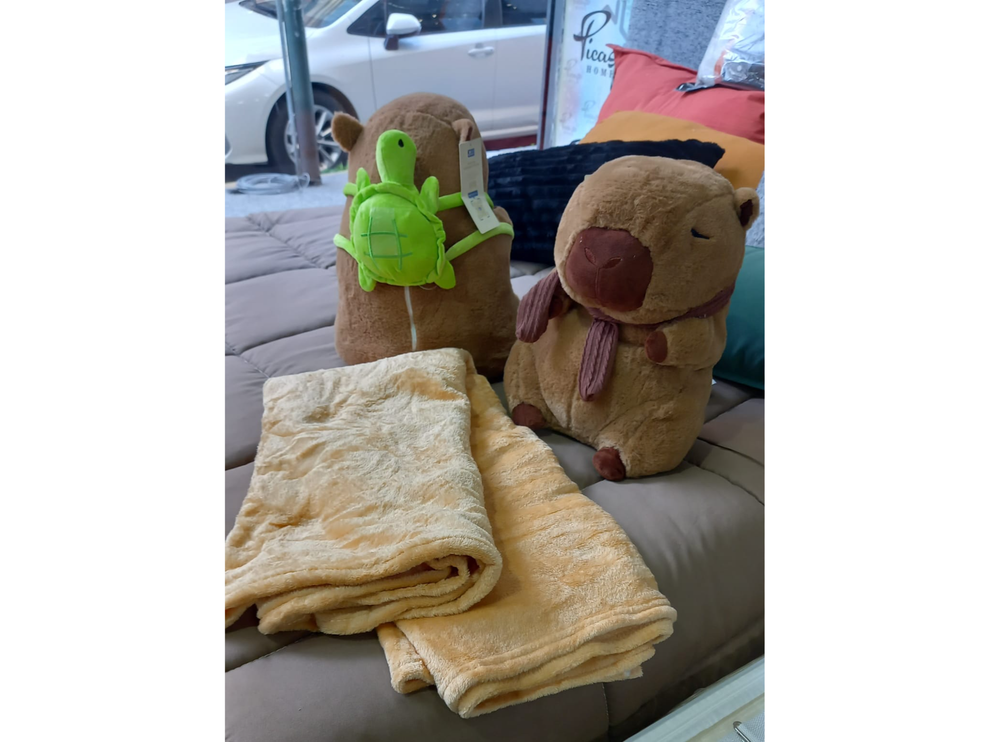 Peluche Capibara Con Manta