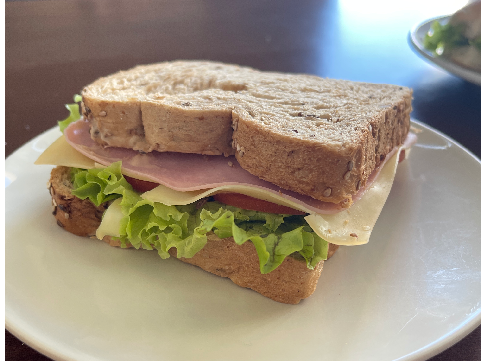 Sándwich Integral