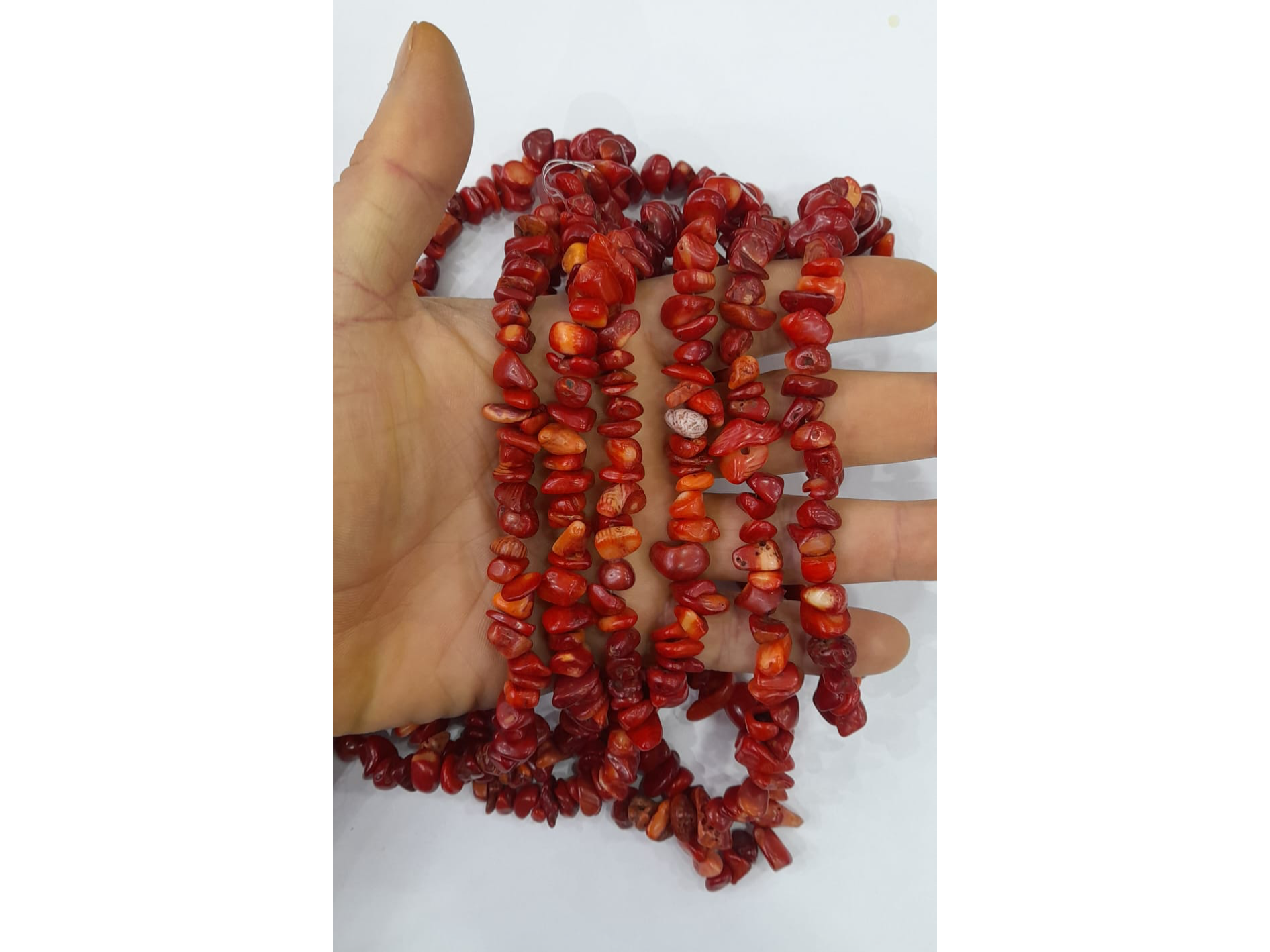 Coral
