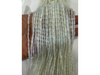 Opalina