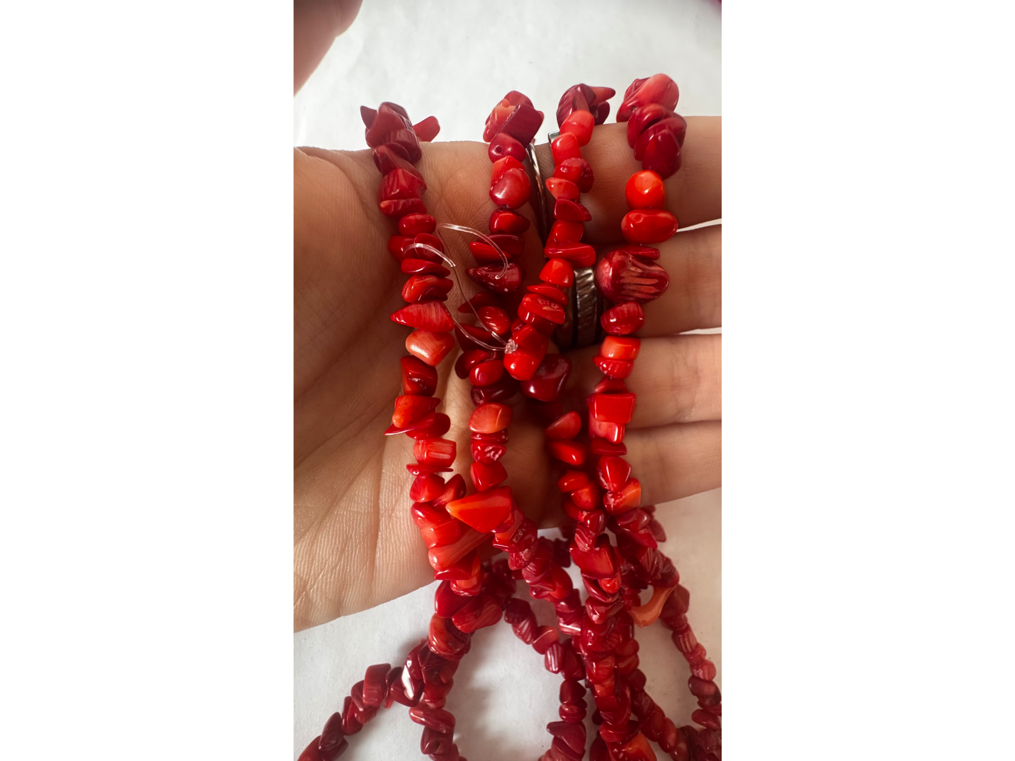Coral rojo extra