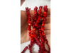 Coral rojo extra