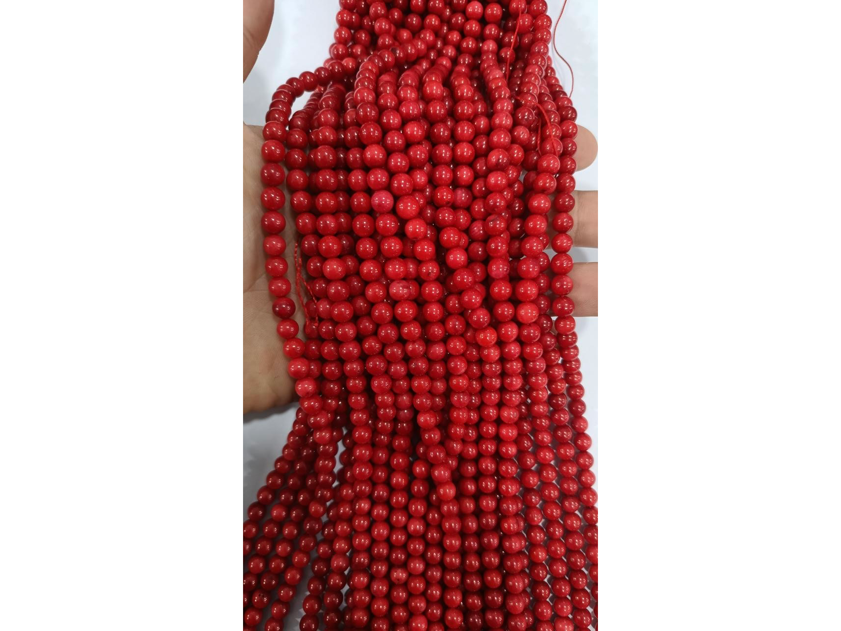 Coral rojo