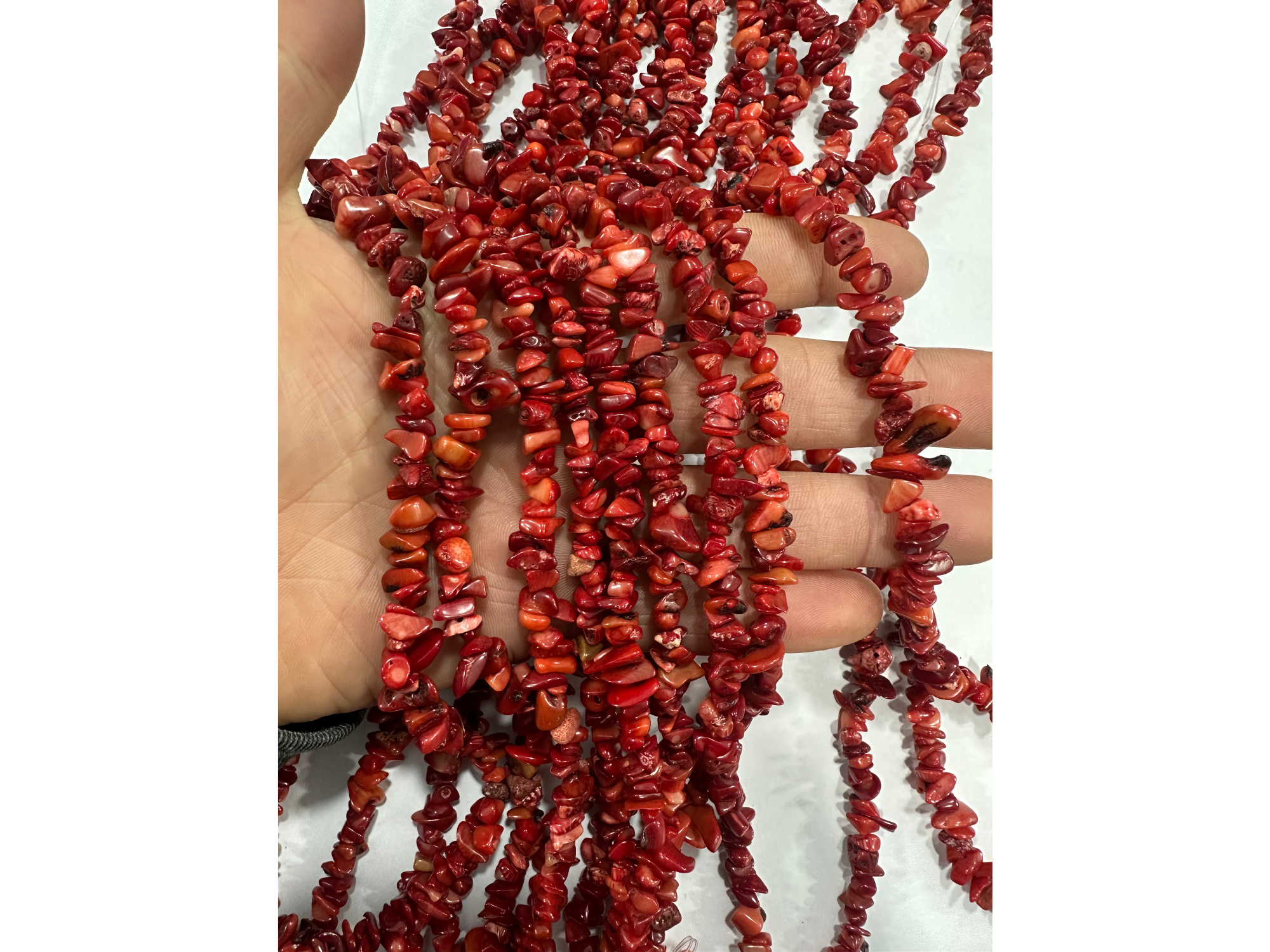 Coral rojo extra