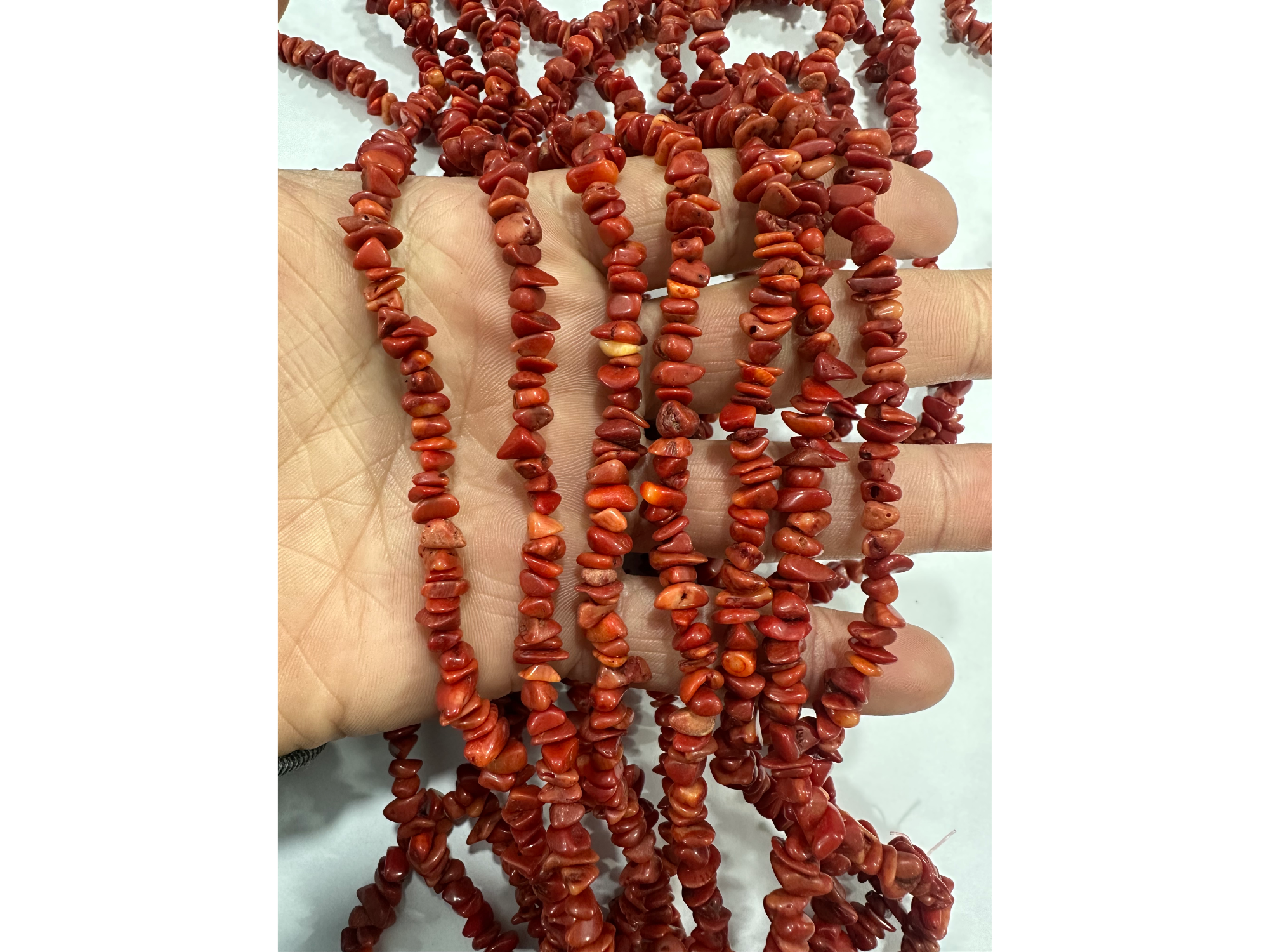 Coral rojo