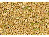 Arroz yamani
