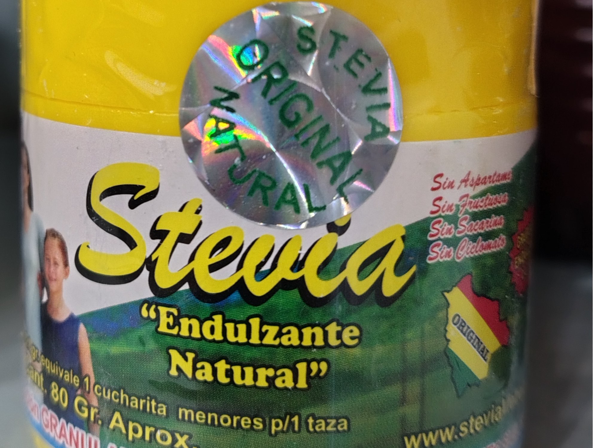 Stevia boliviana