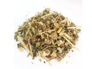 Malva