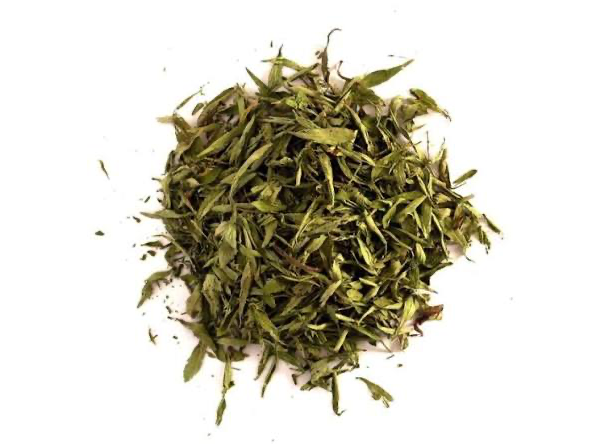 Stevia en yuyo