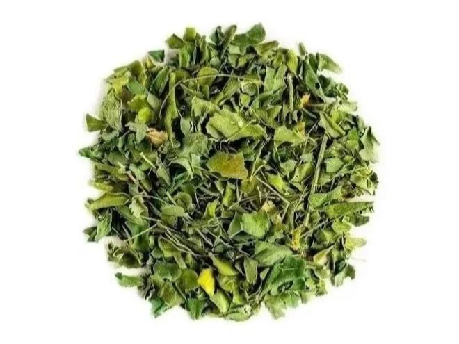 Moringa