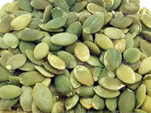 Zapallo