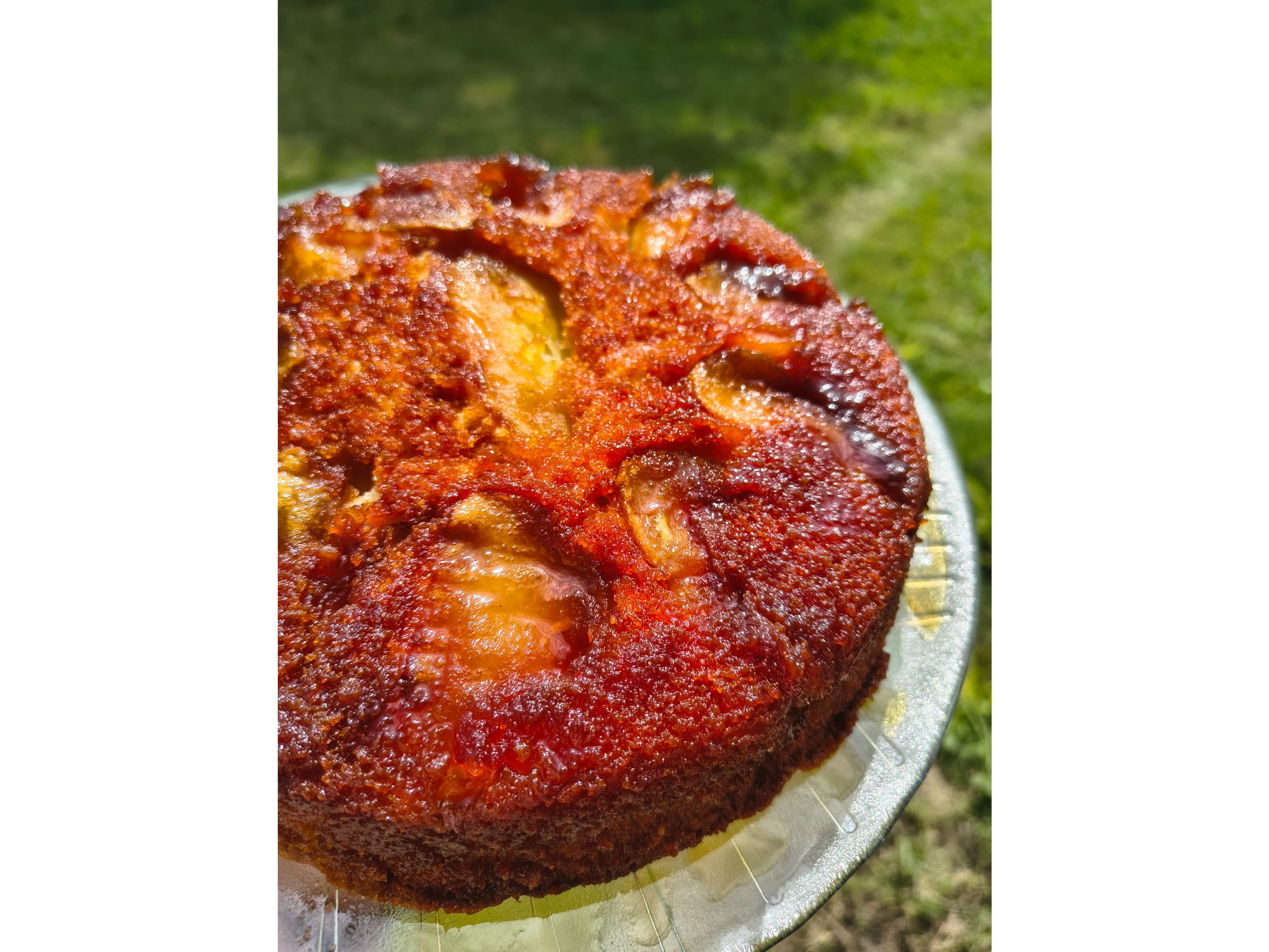 Torta manzana