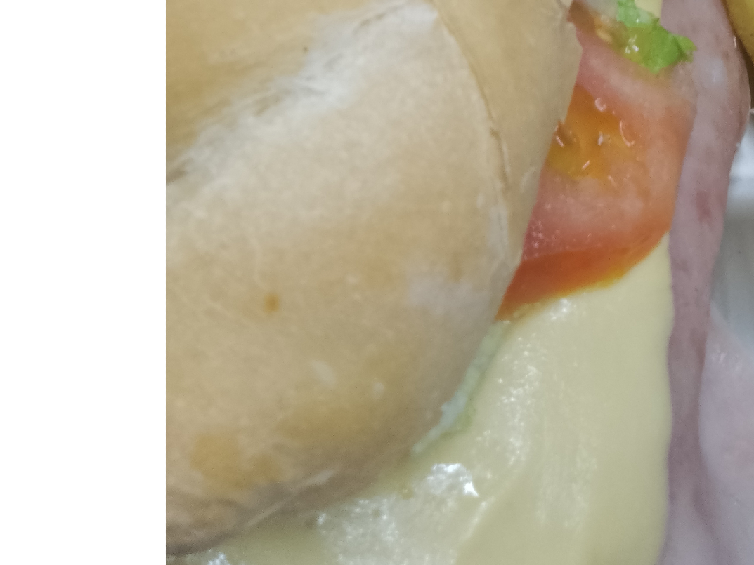 Sándwich de Lomo simple