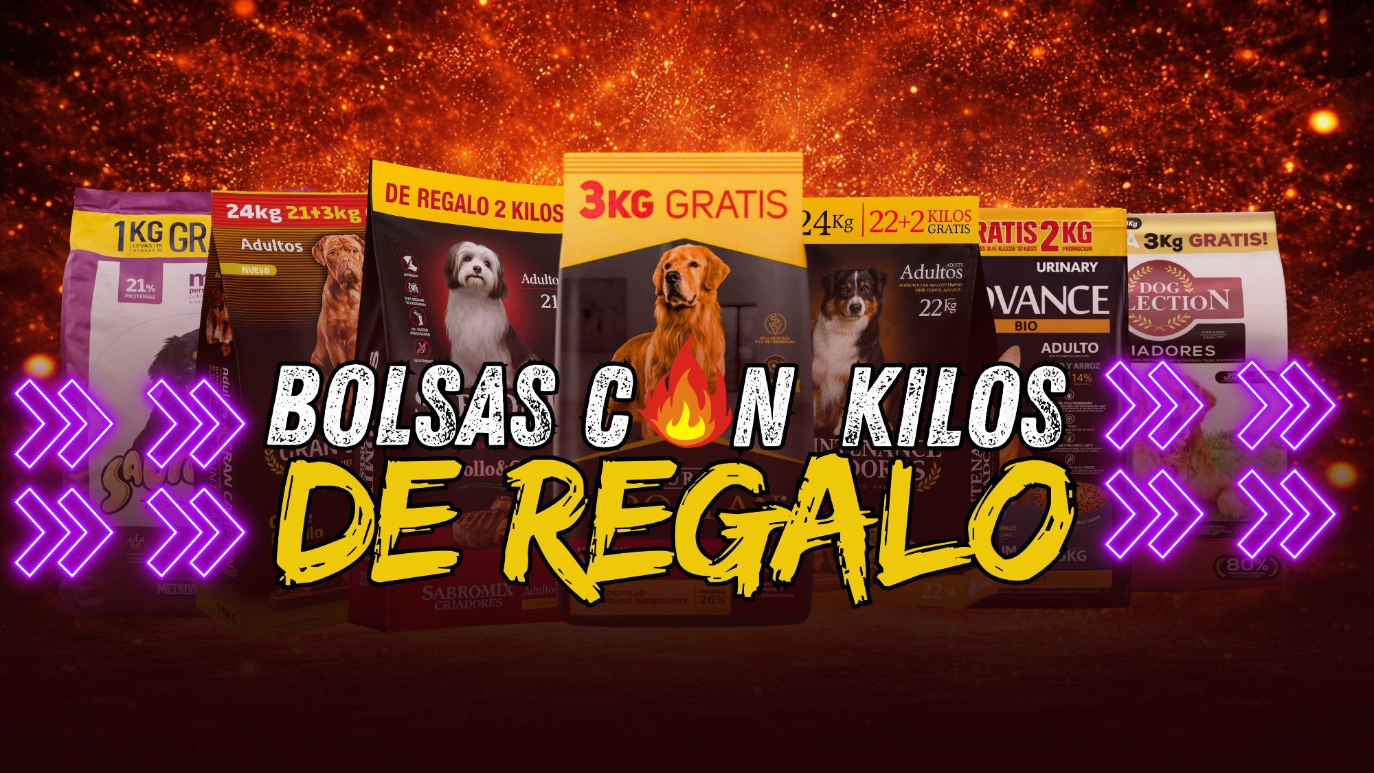 Bolsas con Bonus Gratis