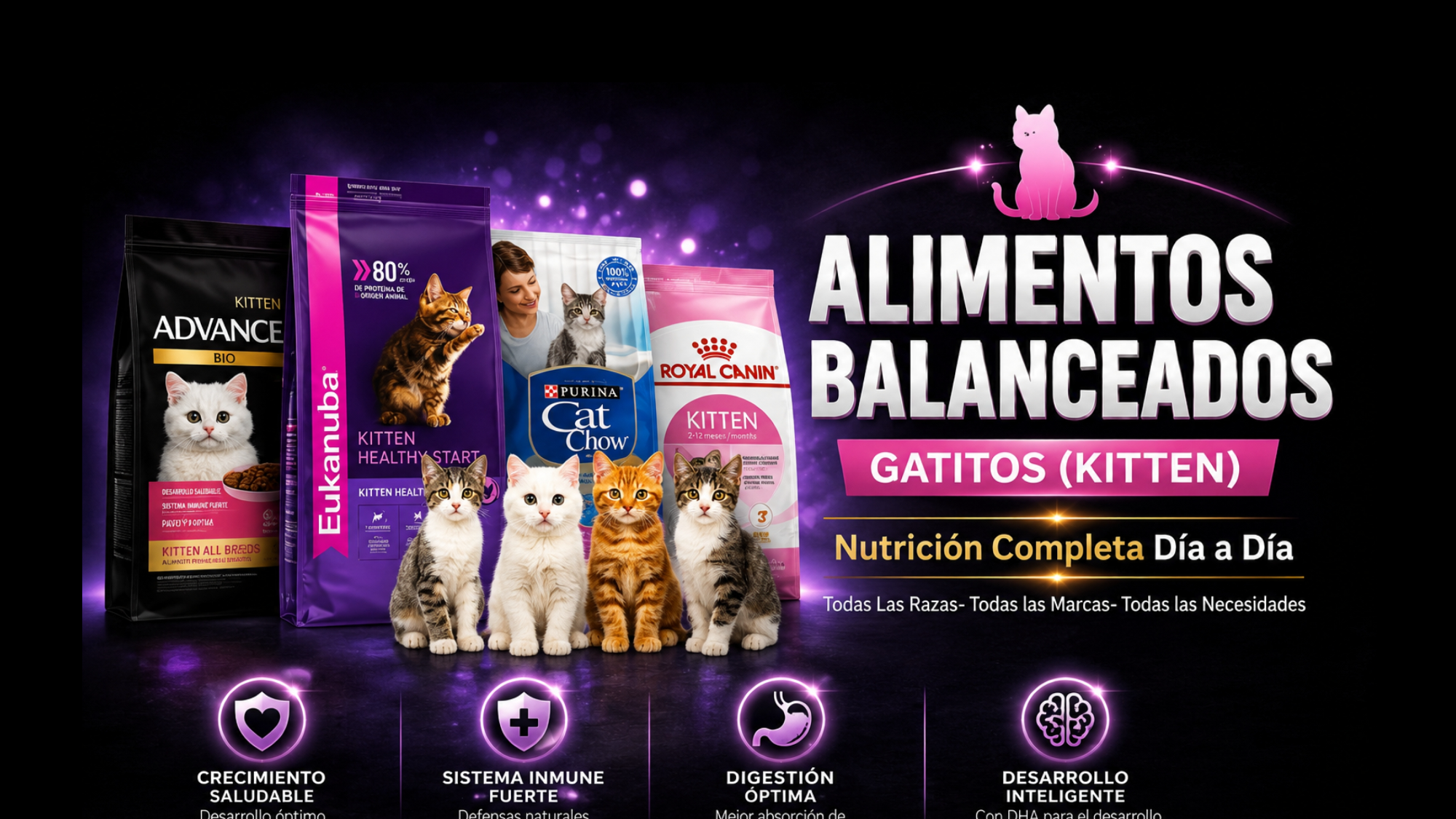 Gatitos