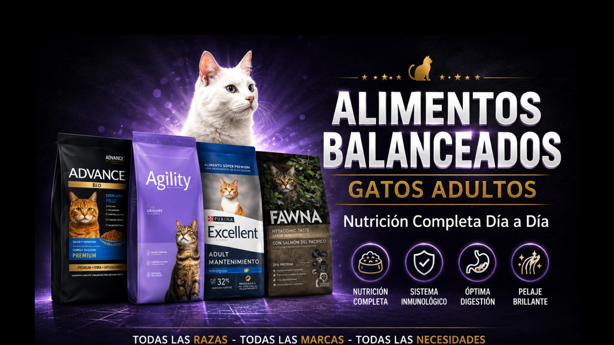 Alimentos Gatos Adultos