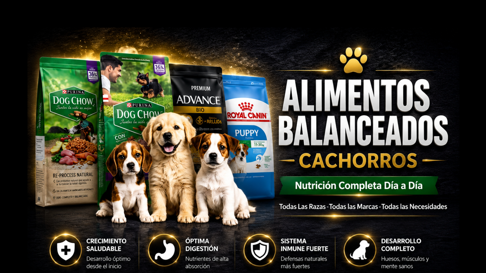 CACHORROS