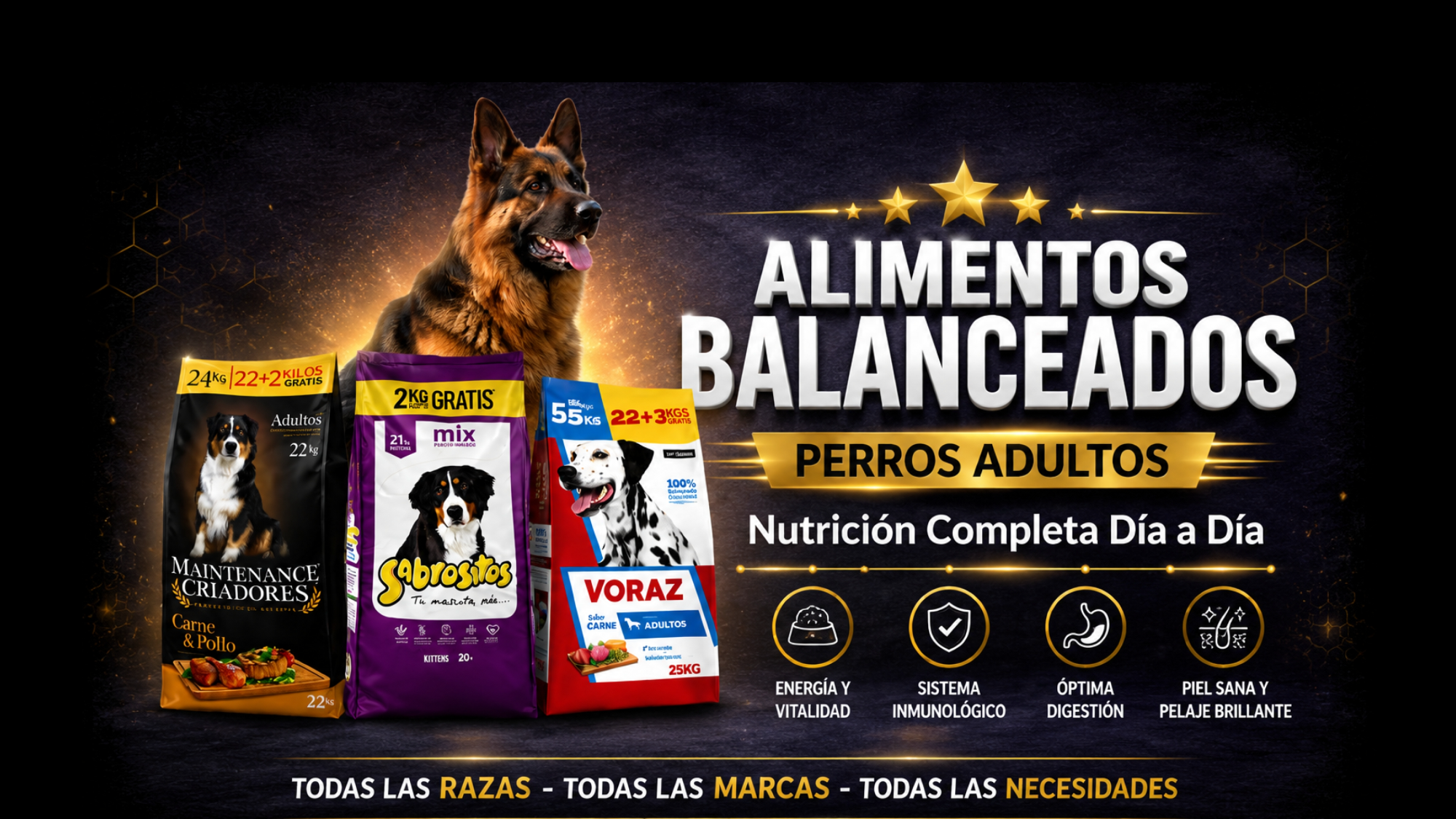 Alimentos Perros Adultos