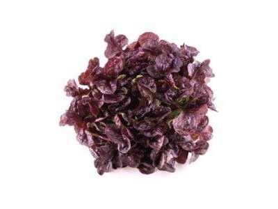 Lechuga morada