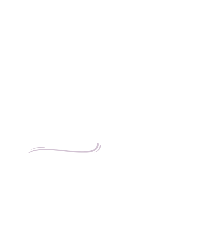 Logo de Elvira Pizza al Molde
