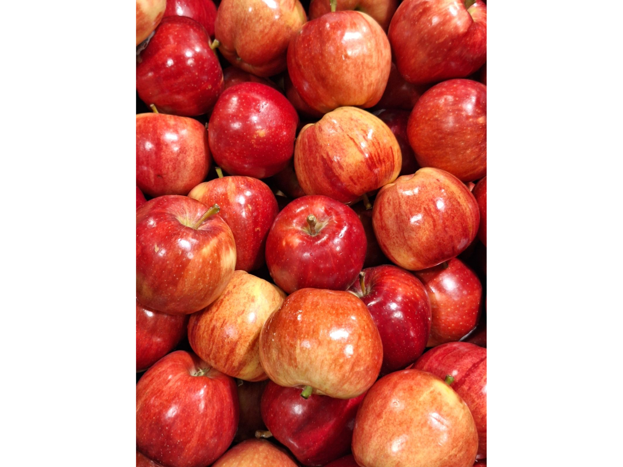 Manzanas económicas