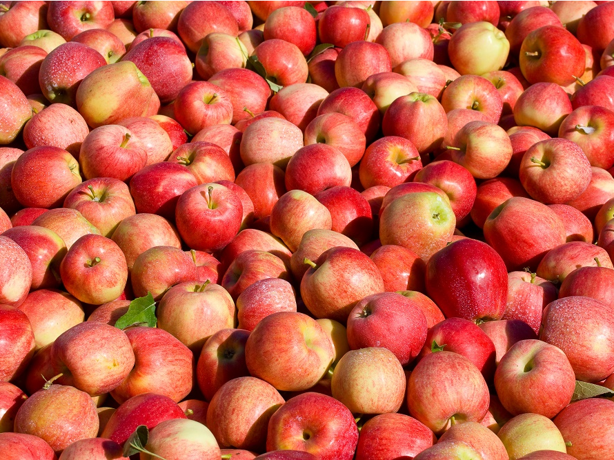 Manzana Roja Granel