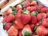 Frutilla