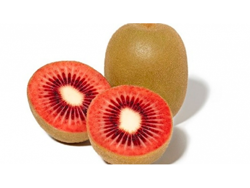 Kiwi Rojo